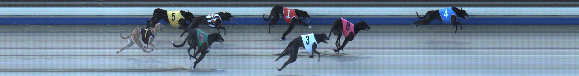 Photo finish for Sale Race 3