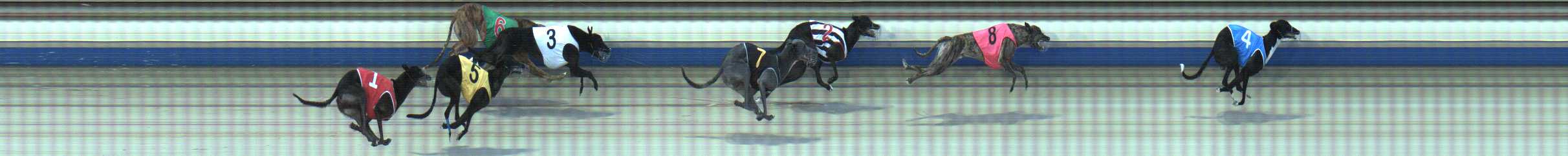 Photo finish for Sale Race 5