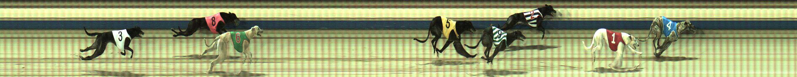 Photo finish for Sale Race 7
