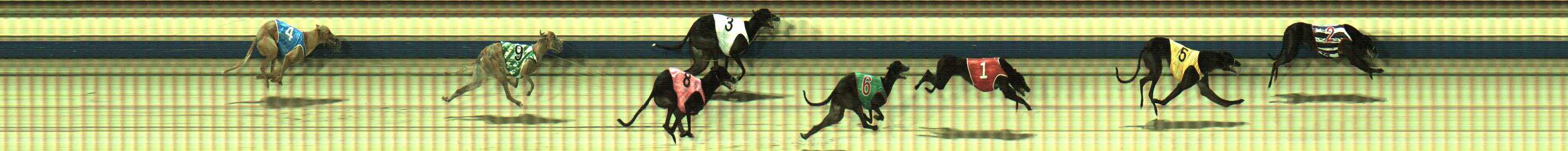 Photo finish for Sale Race 8