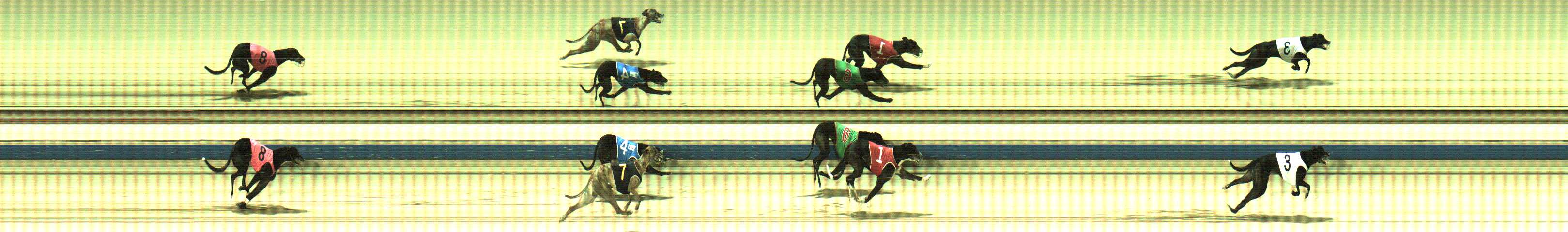 Photo finish for Sale Race 9