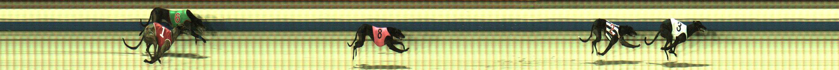 Photo finish for Sale Race 10