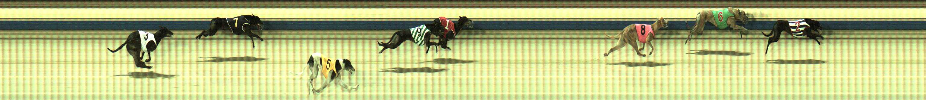 Photo finish for Sale Race 12