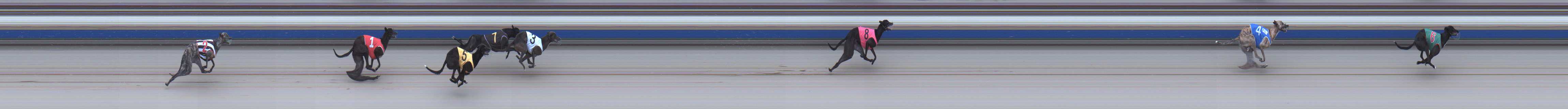 Photo finish for Sale Race 3