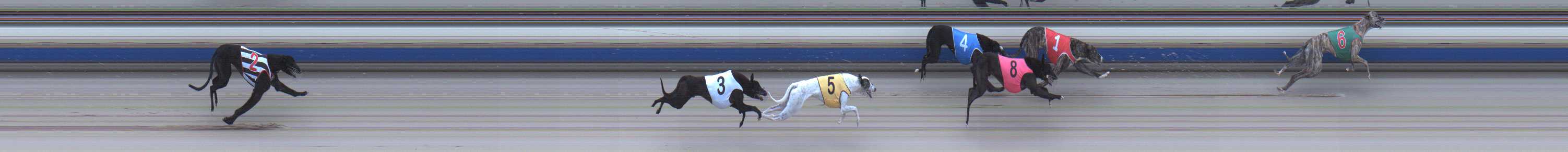 Photo finish for Sale Race 4