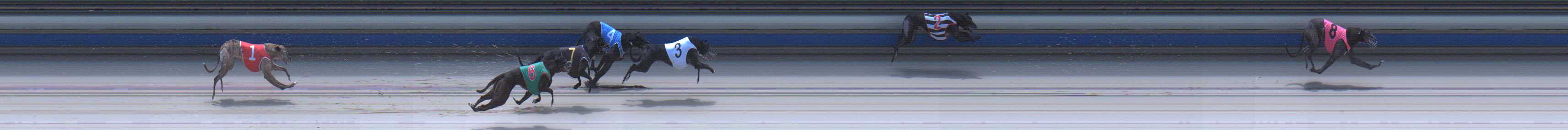 Photo finish for Sale Race 5