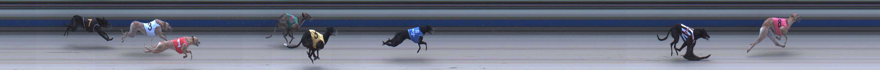 Photo finish for Sale Race 6