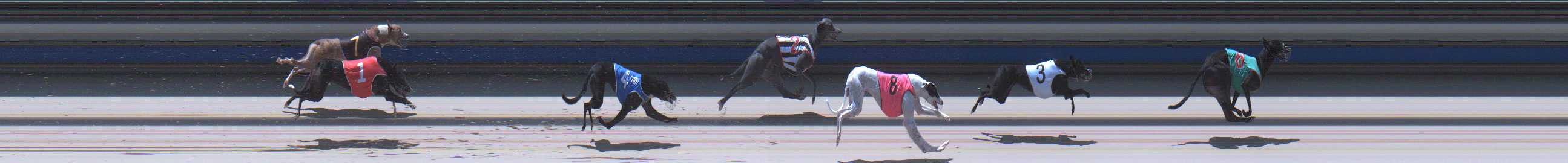 Photo finish for Sale Race 7