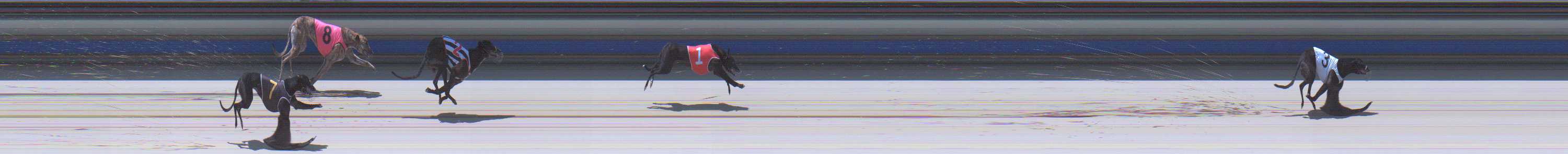 Photo finish for Sale Race 9