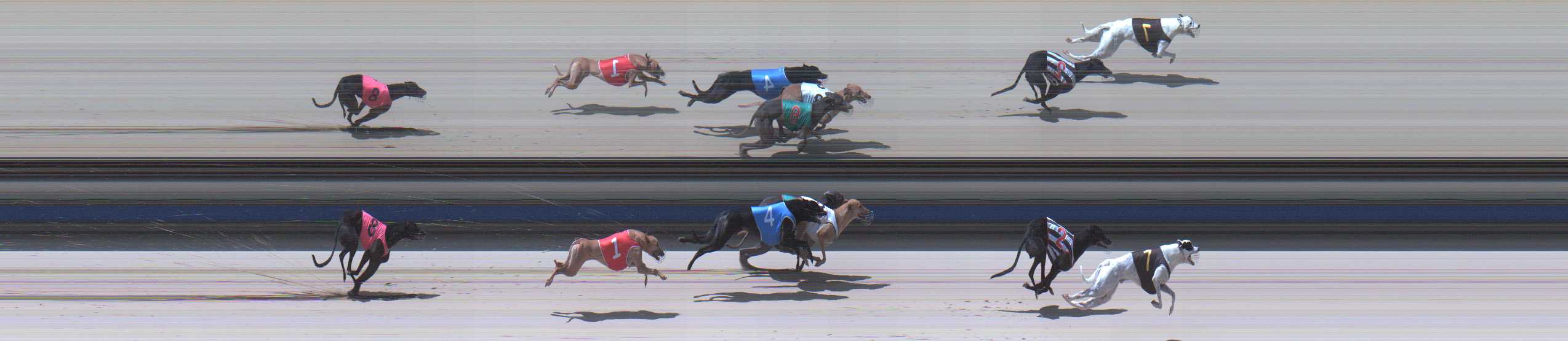 Photo finish for Sale Race 10