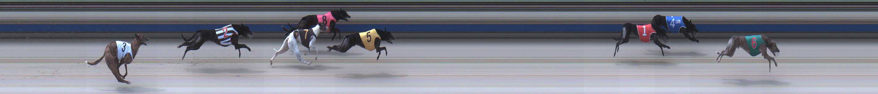 Photo finish for Sale Race 12