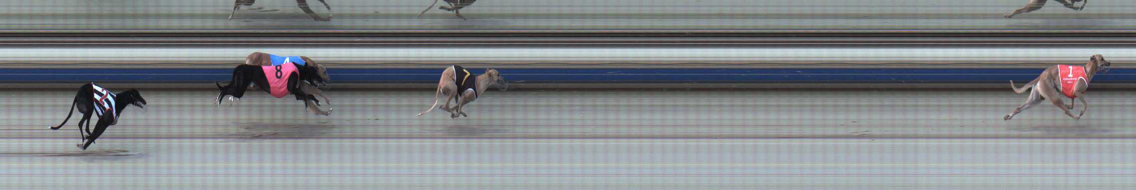 Photo finish for Sale Race 2