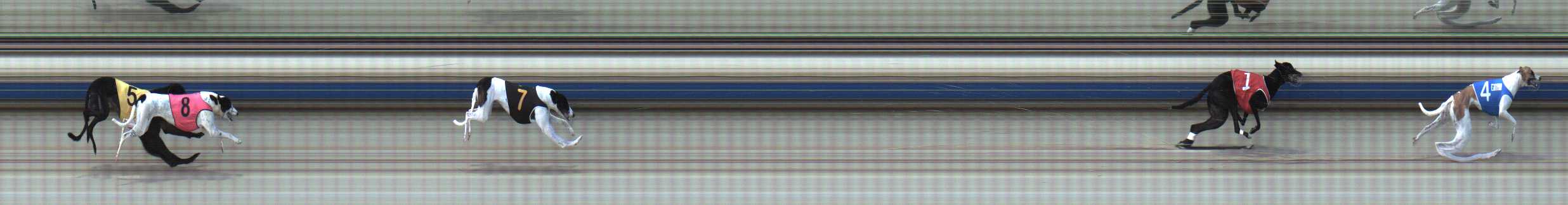 Photo finish for Sale Race 3