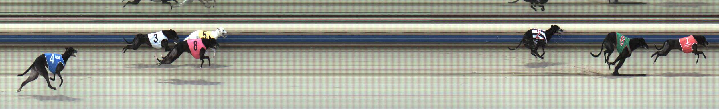 Photo finish for Sale Race 4