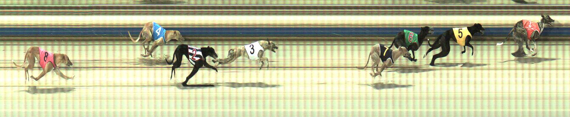 Photo finish for Sale Race 5