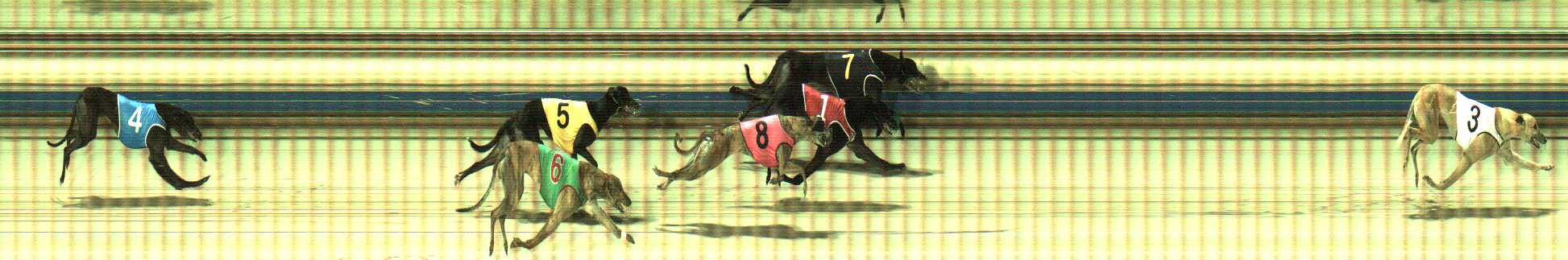 Photo finish for Sale Race 6