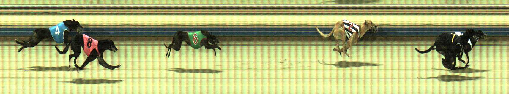 Photo finish for Sale Race 9