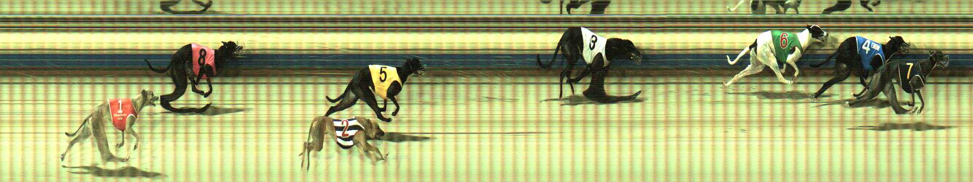 Photo finish for Sale Race 10