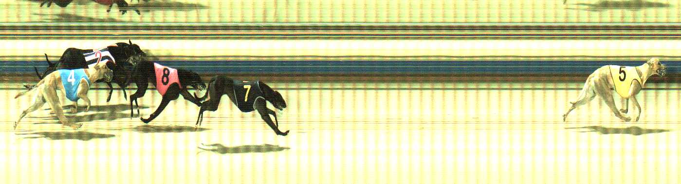 Photo finish for Sale Race 11