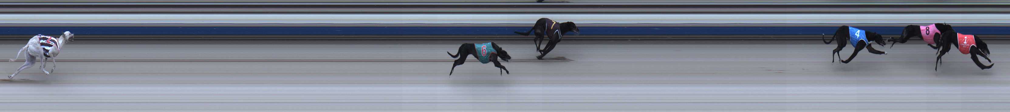 Photo finish for Sale Race 1