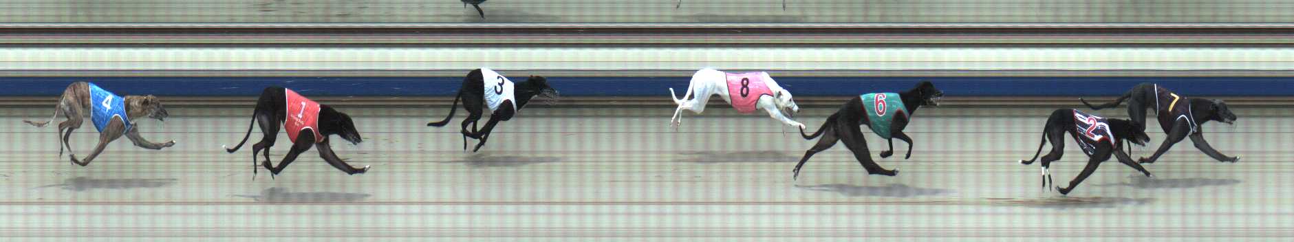 Photo finish for Sale Race 4