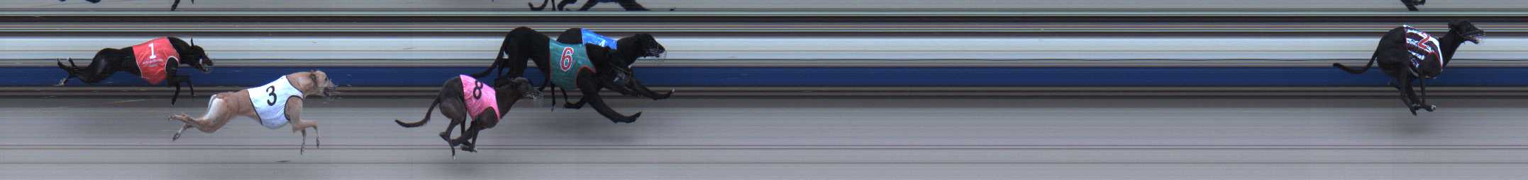 Photo finish for Sale Race 2