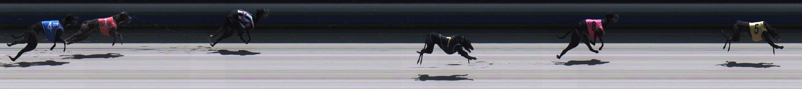 Photo finish for Sale Race 1