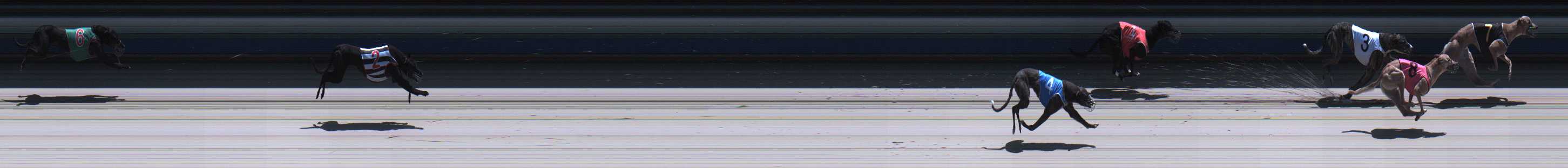 Photo finish for Sale Race 2