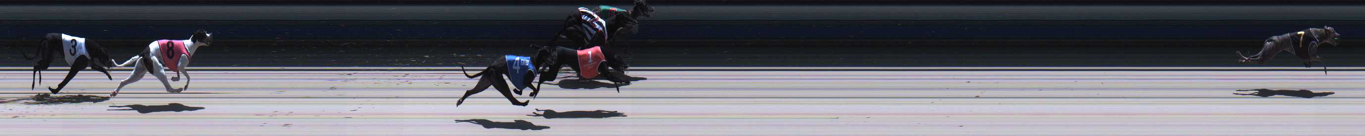 Photo finish for Sale Race 3