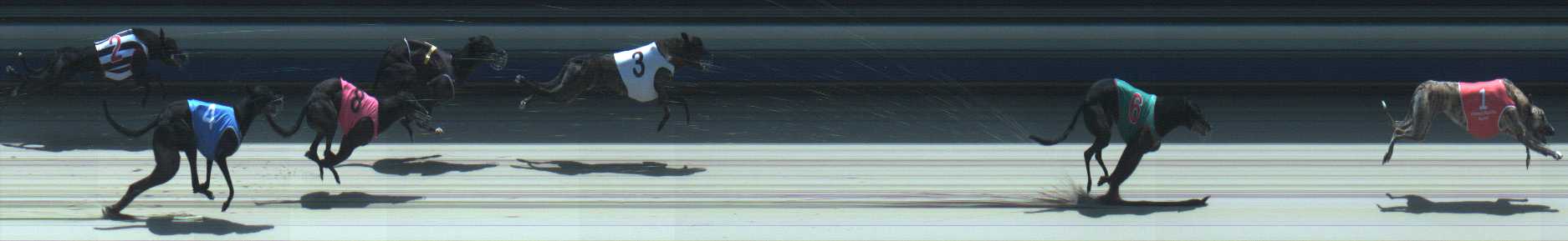 Photo finish for Sale Race 4