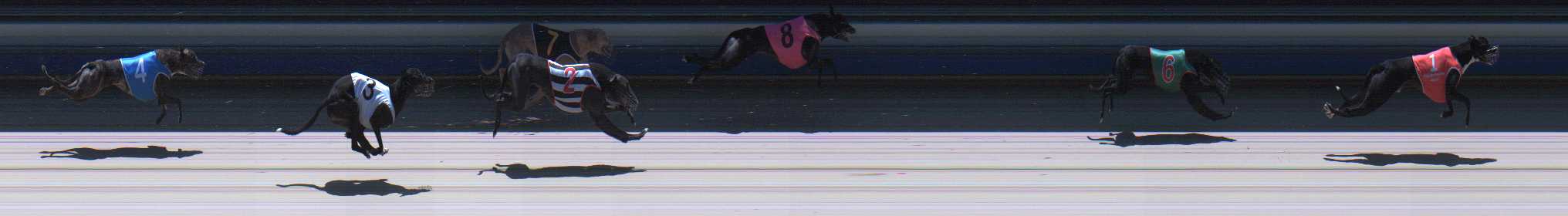 Photo finish for Sale Race 5