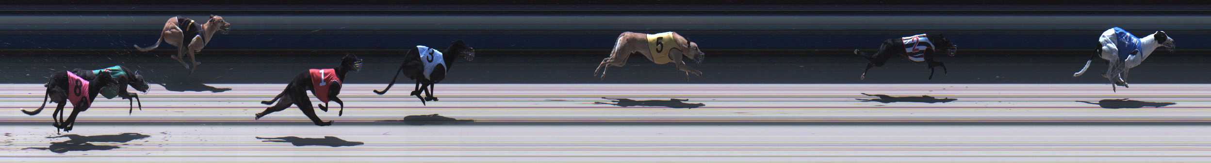 Photo finish for Sale Race 6