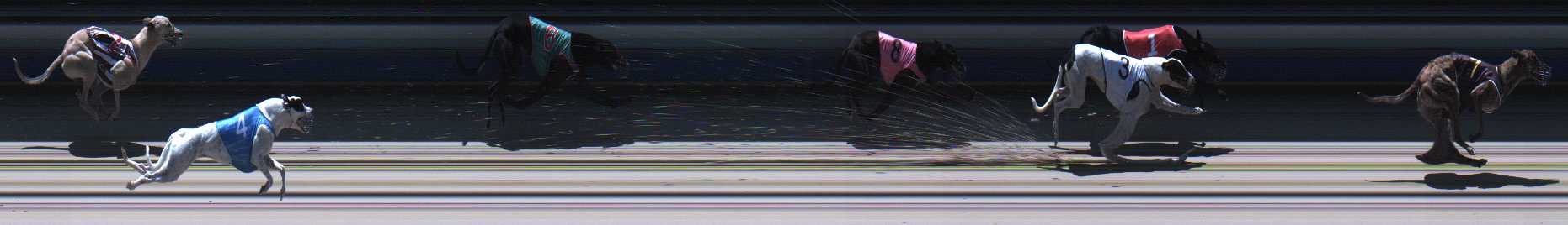 Photo finish for Sale Race 7