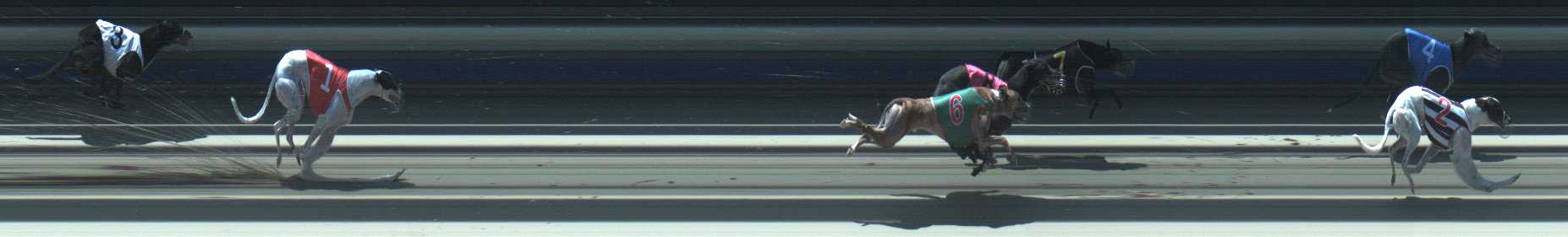 Photo finish for Sale Race 8