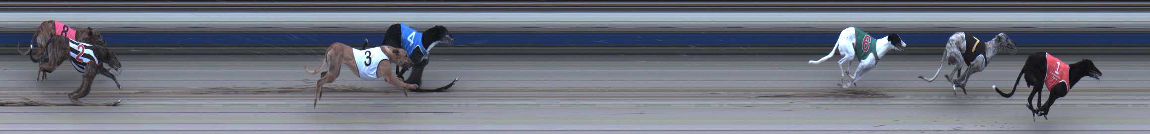 Photo finish for Sale Race 10