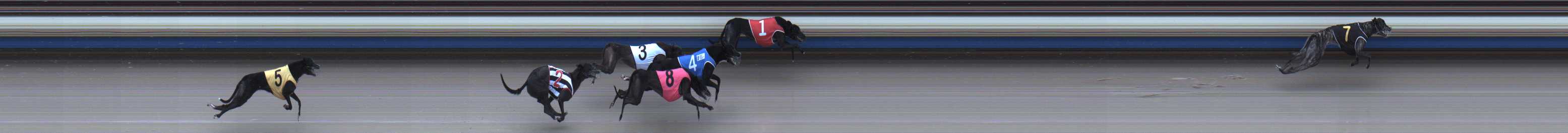 Photo finish for Sale Race 1