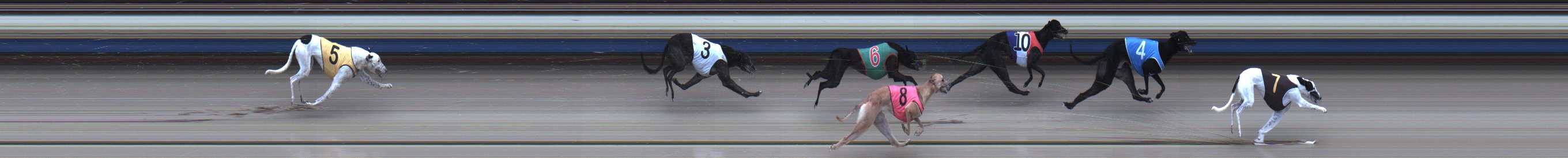 Photo finish for Sale Race 2