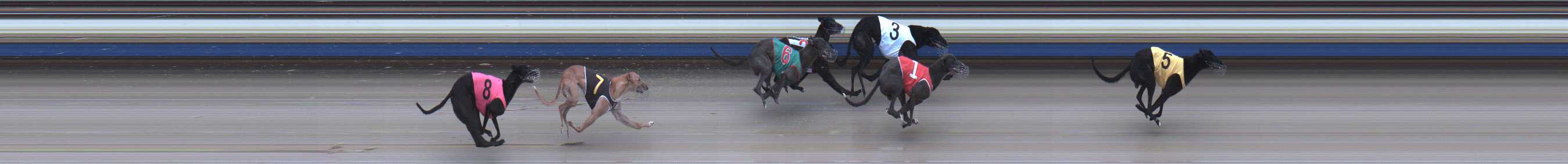 Photo finish for Sale Race 3