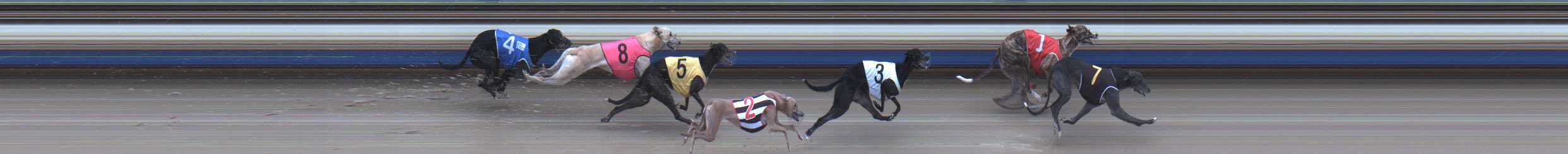 Photo finish for Sale Race 5