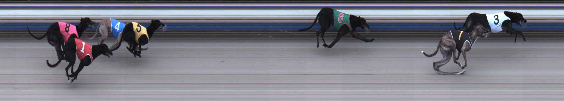Photo finish for Sale Race 1