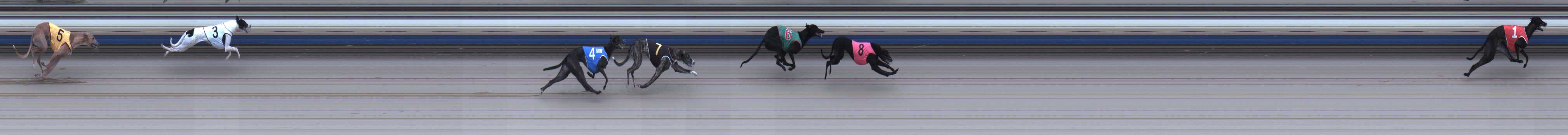 Photo finish for Sale Race 2