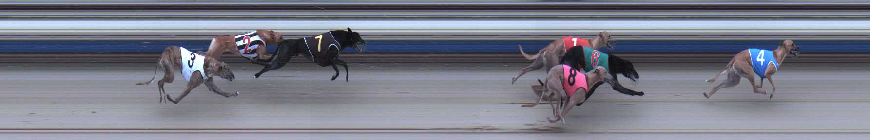 Photo finish for Sale Race 3