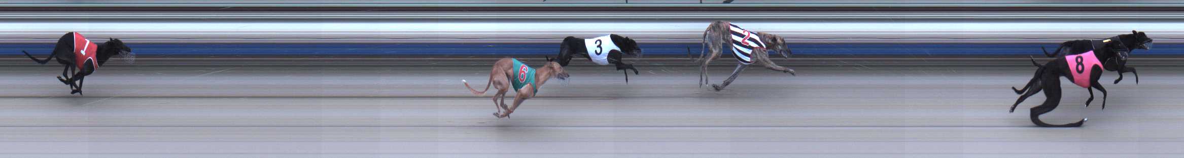 Photo finish for Sale Race 4