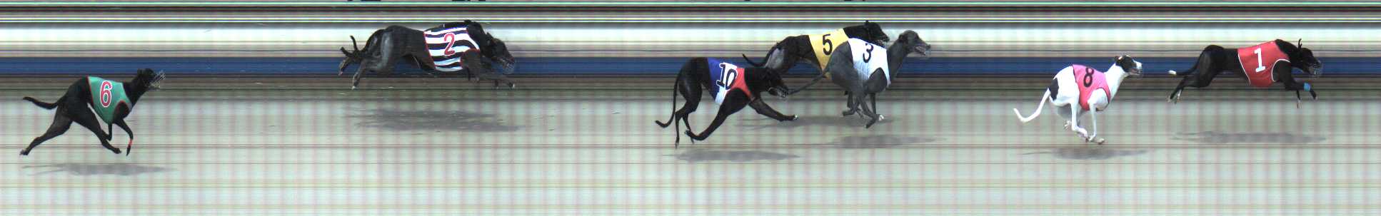 Photo finish for Sale Race 5