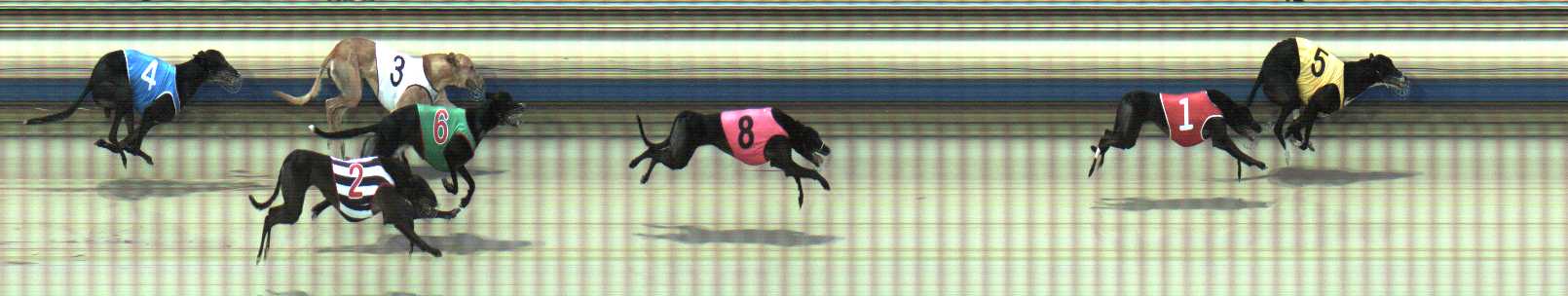 Photo finish for Sale Race 6