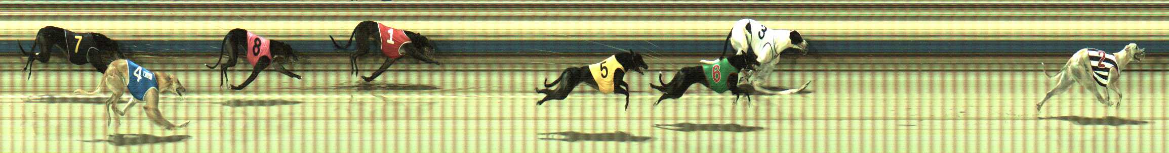 Photo finish for Sale Race 7