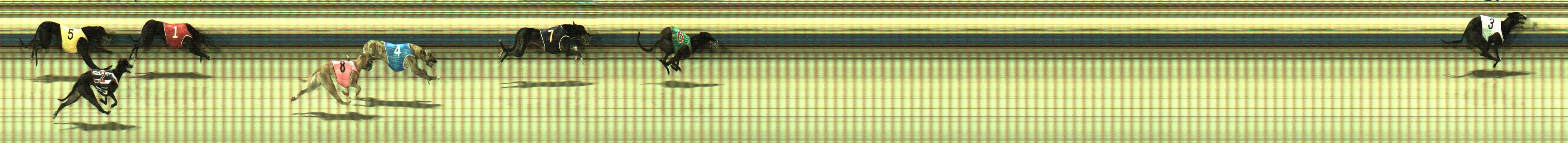 Photo finish for Sale Race 9