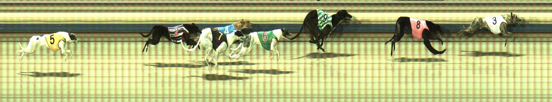 Photo finish for Sale Race 10