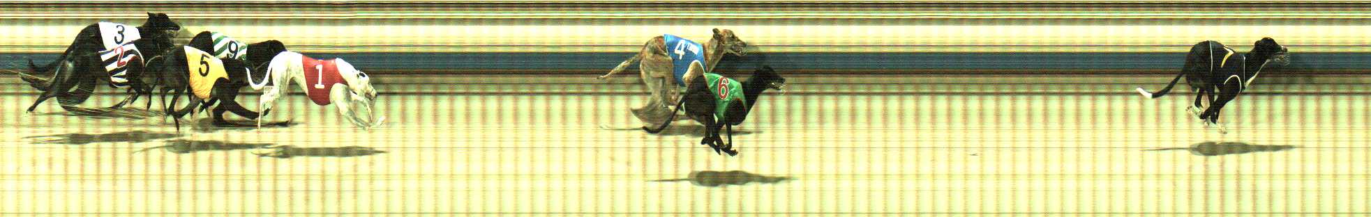 Photo finish for Sale Race 11