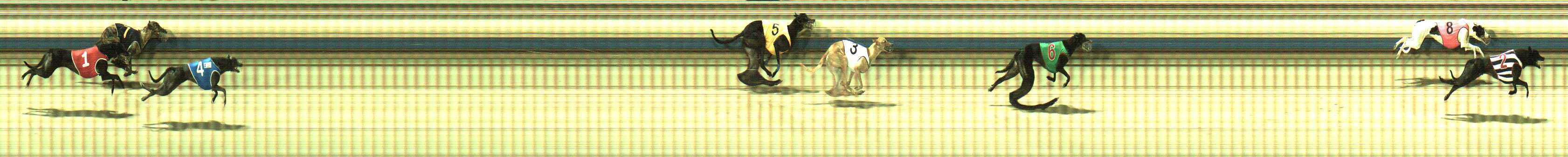 Photo finish for Sale Race 12